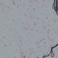 ヨッコ❣️ sddefault.jpg