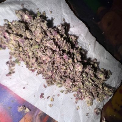 wjzvonx's profile picture. 