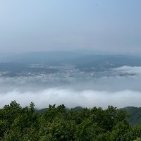 サケ (@md7847) 's Twitter Profile