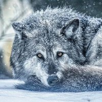 5lumGod5 (@5lum_god) 's Twitter Profile
