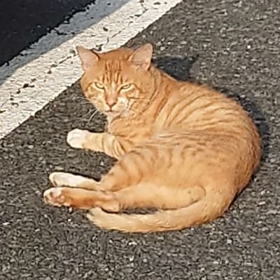 北九州市から宮城県に出張になり今までの趣味があまり出来なくなったのを境にVtuberを見始めて1年たちました。
良い機会だったので元々の趣味垢とは分けてアカウント名もYOUTUBEの方と合わせました。
あおぎり高校の千代浦蝶美さんを応援しています。
Vtuberはあおぎり高校以外はあまり知りませんが宜しくお願
