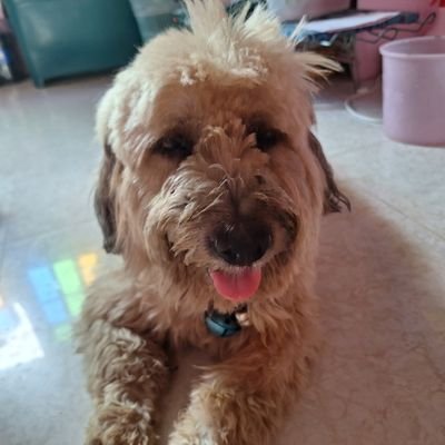 WatcPack38484's profile picture. ขอให้น้องมีแต่วันที่ดี👶 @AtthaphanP 💖