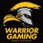 waupunhs_esport's profile image