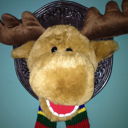 childlaw57's profile picture. Children lawyer, Enjoys cooking, football fan, voracious collector and reader of crime novels - Occasional walker