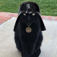 Acmora (@j1m_s4c0st4) 's Twitter Profile
