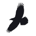 â â â â â â â â â â â â â â â â ðð¶ð¹ðð²ð¿ â â â (@ichrwept) Twitter profile photo â â â â â â â â â â â â â â â â ðð¶ð¹ðð²ð¿ â â â (@ichrwept) Twitter profile photo