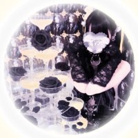 かいき (@kaiiikiii_t) 's Twitter Profile Photo かいき (@kaiiikiii_t) 's Twitter Profile Photo