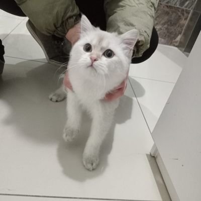 EranAslan93981's profile picture. 