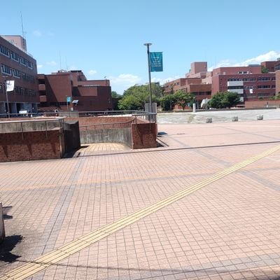 xylitol_univ's profile picture. ITF.25 coens 07♂ 無言フォロー失礼します