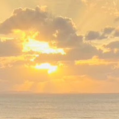 ARrrrrry_skyo's profile picture. 