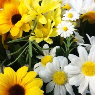 cura_us's profile picture. 