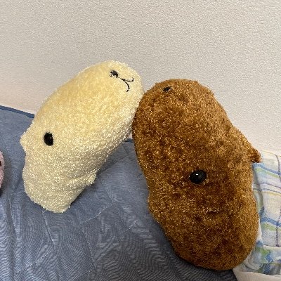 yotthynosumika's profile picture. 06 今日も元気にねずみ講。su cs B1 　 
#春から静大