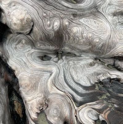 000_lucian's profile picture. Hit me baby just one more gay