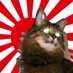 せつねこ🐈⬛🐝 (@zumaneko19) Twitter profile photo せつねこ🐈⬛🐝 (@zumaneko19) Twitter profile photo