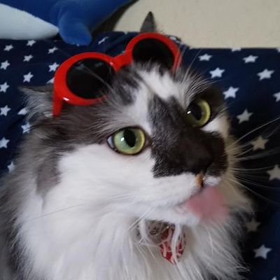 姫室さんのプロフィール画像