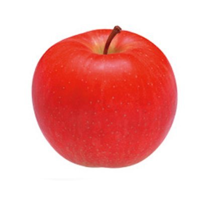 apple9n's profile picture. 🎹🎸🎺🥁🪕🎤演奏者勉強