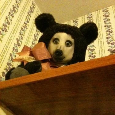 johnnysyzygy's profile picture. 