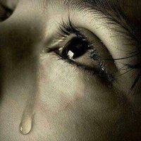 Ibn E Adam🇵🇰🇸🇦خاک نشیں (@muhamma48013216) 's Twitter Profile