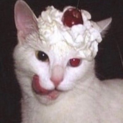 silversoda2's profile picture. Get yourselves a REAL hideout ‼️‼️‼️
adult, KIDS GO AWAY !!!