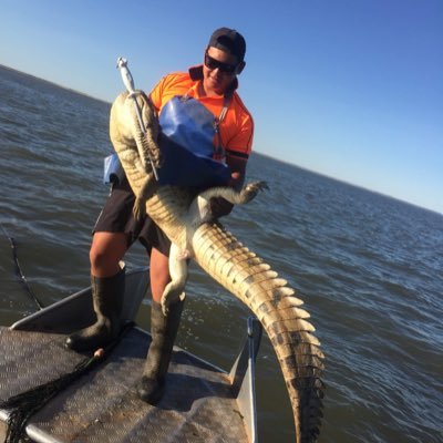 nativebtcfi's profile picture. BTCFi + RWA focused | Deep in UTXO protocols | Tracking under-the-radar Bitcoin gems like Mintlayer | Macro + TA insights | Croc with alpha