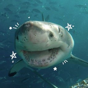 lelikesbugs's profile picture. I.T.U. priv @lebutpriv loml @OutOf_Service_