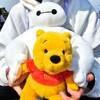 かほてぃん (@rs_smhi119) 's Twitter Profile