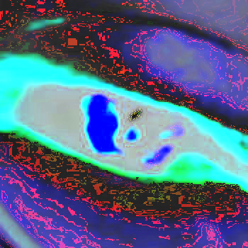 Alpha_Token's profile picture. 