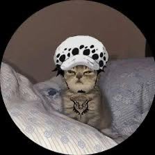 CitrusChaos's profile picture. artist, 🇨🇦, 20