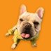 Crypto肥牛 (@cryptofeiniu) Twitter profile photo Crypto肥牛 (@cryptofeiniu) Twitter profile photo