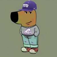Chill TCU Guy (@chilltcuguy) 's Twitter Profile