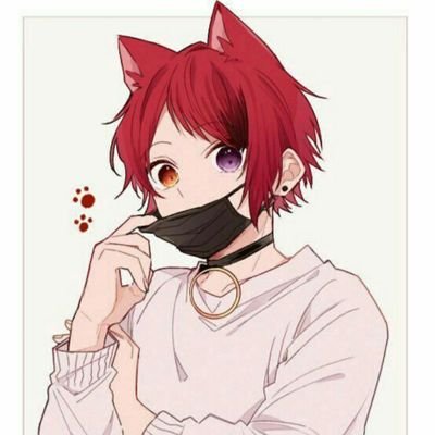 hi there! it's very nice to meet you all.
male
21.
subpar at best.
mdni.
my dms are always open to mostly anyone. I'm a lil shy, so I don't dm first. Byeeeee