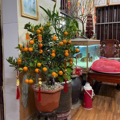 dagghuy's profile picture. 