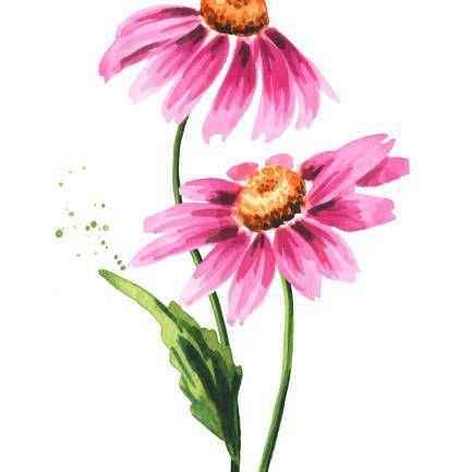 utmost4Hisglory's profile picture. Just a lover of God and his broken instruments

yh & bbmzansi (we all have flaws😅)