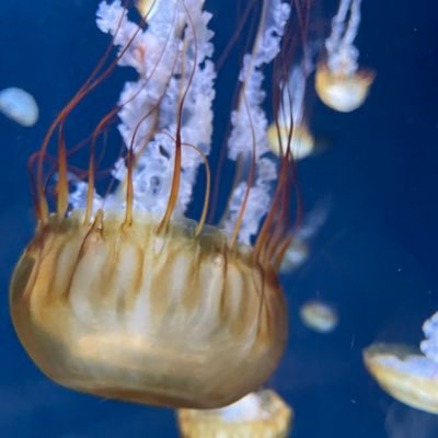 ooooo5617's profile picture. 