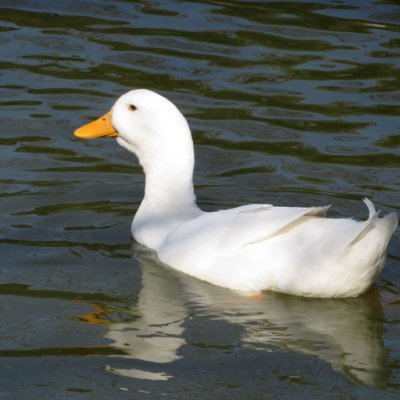 dJPHETuFV566005's profile picture. 