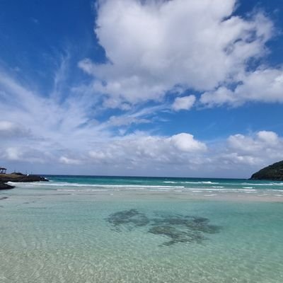 hanoyuul's profile picture. 