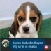 Lucca (Hyde) Malucko Doydo (@hhydde) Twitter profile photo Lucca (Hyde) Malucko Doydo (@hhydde) Twitter profile photo