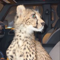 aaaio (@aaaio3l) 's Twitter Profile Photo