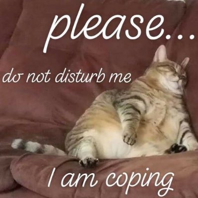 @go1ng_1nsane