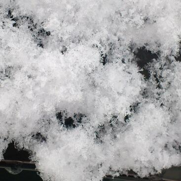 OrinpiaD's profile picture. お仕事は釣り。インデックス積み立て。米国株オンリー。趣味は車、ゲーム、バレー、釣り。基本返信しません。天安門事件