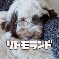 リトモランドのACOYA(アコヤ)だよ (@ritmo_land) 's Twitter Profile