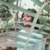 Astha Sul (@asthasul) Twitter profile photo Astha Sul (@asthasul) Twitter profile photo