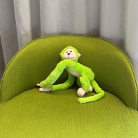 【暴露】不動産投資のサルちゃんネル (@fudousansaru) 's Twitter Profile