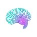The Neurosciences Foundation (@theneurorf) Twitter profile photo The Neurosciences Foundation (@theneurorf) Twitter profile photo
