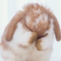 🌻MISS :G 🌻- โหมดวัยรุ่นอนามัย นอนไวรักษาสุขภาพ (@missg9943) 's Twitter Profile Photo 🌻MISS :G 🌻- โหมดวัยรุ่นอนามัย นอนไวรักษาสุขภาพ (@missg9943) 's Twitter Profile Photo