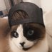 Pako Sato (@carlosg92356925) Twitter profile photo Pako Sato (@carlosg92356925) Twitter profile photo
