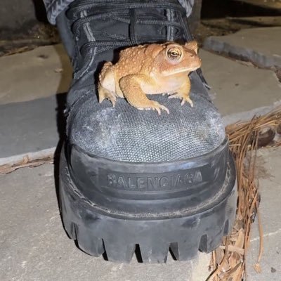 DylDwight's profile picture. 