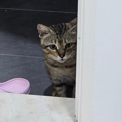 adrey_ana's profile picture. I'm (not) cool as ice
On-the-rock whiskey, ring-a-ring, ding-dong