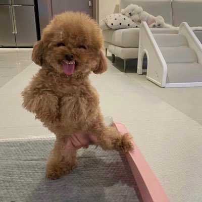 nadthaaaa's profile picture. 