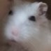 🐭 (@________o0kota) Twitter profile photo 🐭 (@________o0kota) Twitter profile photo